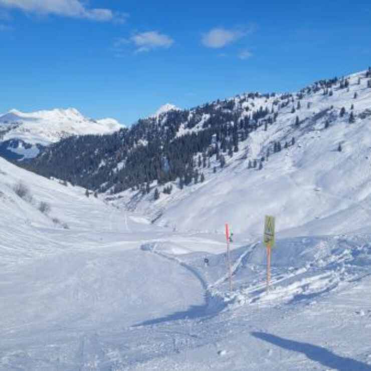 Perfekter Skiausflug